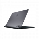 Laptop MSI Gaming GE66 Raider (11UG-210VN) (i7 11800H/16GB RAM/2TB SSD/RTX3070 8G/15.6 inch FHD 300Hz/Win10) (2021)